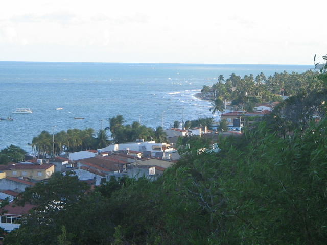 Maragogi visto do alto: telhados, coqueiros na orla e o mar.